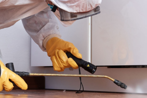 Messie Schädlingsbekämpfung Solingen